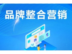 什么是全网营销？